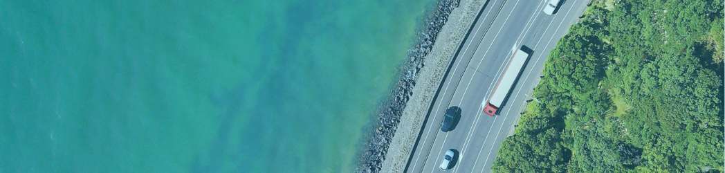 Birds eye view of road next to ocean and trees